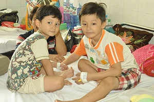 Hai cặp anh em ruột nghi mắc viêm não Nhật Bản