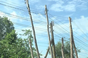 Trụ điện bằng cây gây mất an toàn