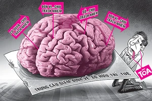 Tranh chấp phần mềm, ai giám định?