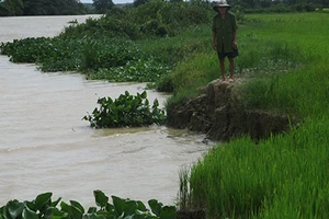 Hút cát làm sạt lở bờ sông Vàm Cỏ
