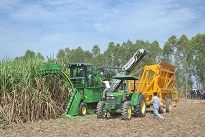 Giá đường Việt Nam cao nhất thế giới