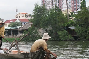 Khó phạt chung cư thải nước ô nhiễm
