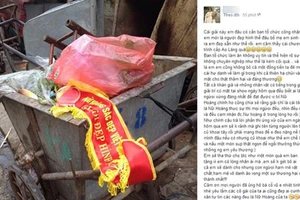 Vụ thí sinh “Nữ hoàng sắc đẹp” ném danh hiệu vào xe rác: BTC không xin phép