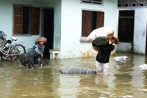 Không bàn chống lũ, chỉ lo doanh thu!