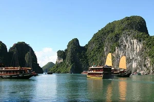 Bitexco được quản lý vịnh Hạ Long?