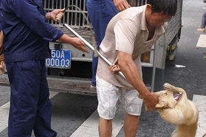 Theo chân tổ bắt chó thả rông