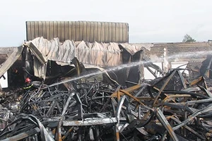 Cháy công ty bao bì, thiệt hại hàng trăm tỉ đồng