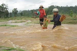 Không biết điện mà làm thủy điện: Phải loại ngay!