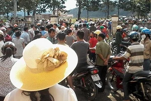 Tuyên án vụ “Đố ai đếm được cây rừng”: Tòa vẫn phạt tù các bị cáo