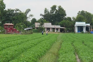 Hầm đất “khủng” giữa khu dân sinh