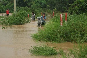 Đồng Nai: Bất an mỗi khi qua cầu Bà Cải
