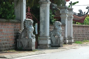 Chuyện con sư tử đá