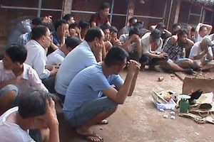 Phá trường gà gần sân bay Tân Sơn Nhất 