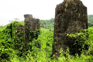 Đường sắt trên không ở VN