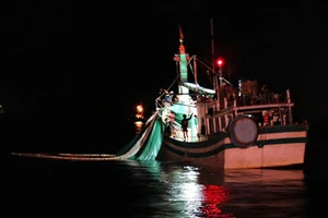 Ngư dân khốn đốn vì tàu giã cào 