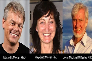 Nobel Y học năm 2014: Phát hiện hệ thống định vị trong não