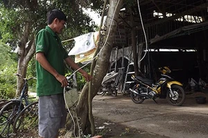 Vụ 'bắt trói kẻ trộm, bị khởi tố': Đáng gì đâu mà xử hình sự!