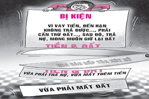 Vay 310 triệu, phải trả 868 m2 đất và 500 triệu!