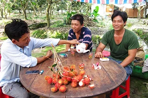 Làm đơn xin… thoát nghèo!