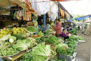 Chưa yên tâm với chất lượng rau tại TP.HCM