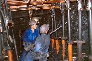 Nạn chạy chọt sẽ triệt tiêu sáng tạo