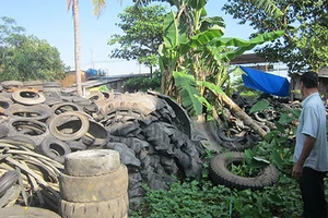 Muỗi bu, chuột phá vì bãi vỏ xe 