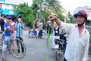 Quảng Ngãi: Số người bị rắn lục cắn lên 135 trường hợp