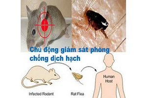 Dịch hạch từ Trung Quốc có thể vào Việt Nam