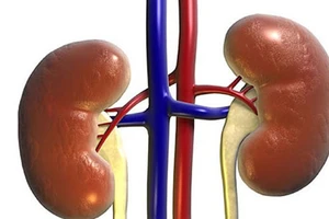 Có thật ghép thận sẽ trường sinh?