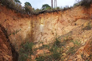 Vụ sập hầm: Chủ đầu tư phớt lờ cảnh báo