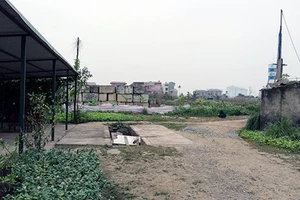 Sập bẫy vì tin ‘mác’ ĐBQH của bà Nga