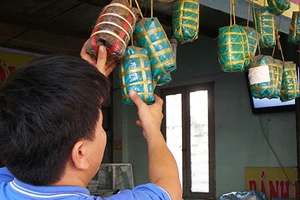 Chất tăng trọng: Bộ cấm, bộ cho!