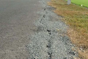 Quốc lộ 91 ở An Giang xuất hiện nhiều vết nứt