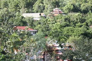 Biệt thự ông Thạch: Bứng gốc hay cắt tỉa?