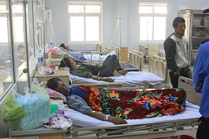 Nghệ An: Ba ngư dân ngộ độc cá nóc 