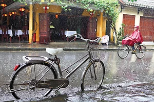 Phố có vui không!