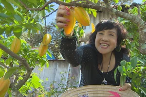 Ký ức Phù Sa khai kênh truyền hình miền Tây