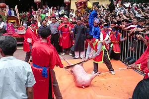 Vẫn chém lợn ngay sân đình