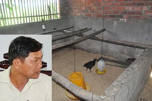 Quan xã ‘ăn’ gà hỗ trợ của người nghèo