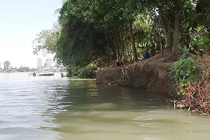 Vụ lấp sông Đồng Nai, Bộ TN&MT: ‘Phải tham vấn các tỉnh’