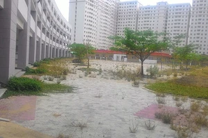 Trường bỏ hoang giữa lòng thành phố