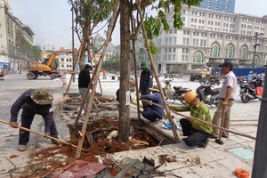 Ngày 29-4, ‘mở cửa’ phố đi bộ Nguyễn Huệ