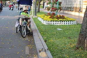 Người đàn ông bầu bạn với chim sẻ