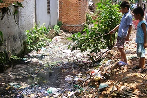 Khổ vì muỗi đầy nhà