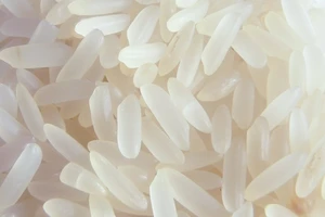 Bộ Y tế đang xác minh thông tin gạo giả ở Việt Nam