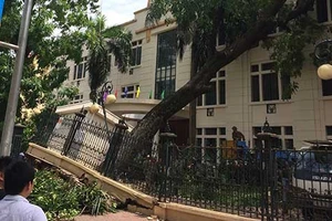 ‘Cơn giông ở Hà Nội mạnh như bão’