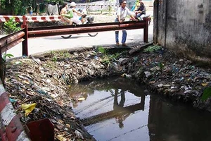 Chế tài tổ chức, cá nhân không tham gia diệt lăng quăng