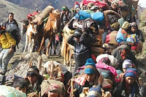 Săn ‘Đông trùng hạ thảo’ ở Nepal