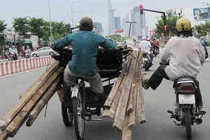 Xem thường luật giao thông