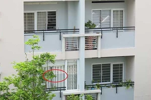 Tự ý cơi nới căn hộ ở chung cư Ehome 1